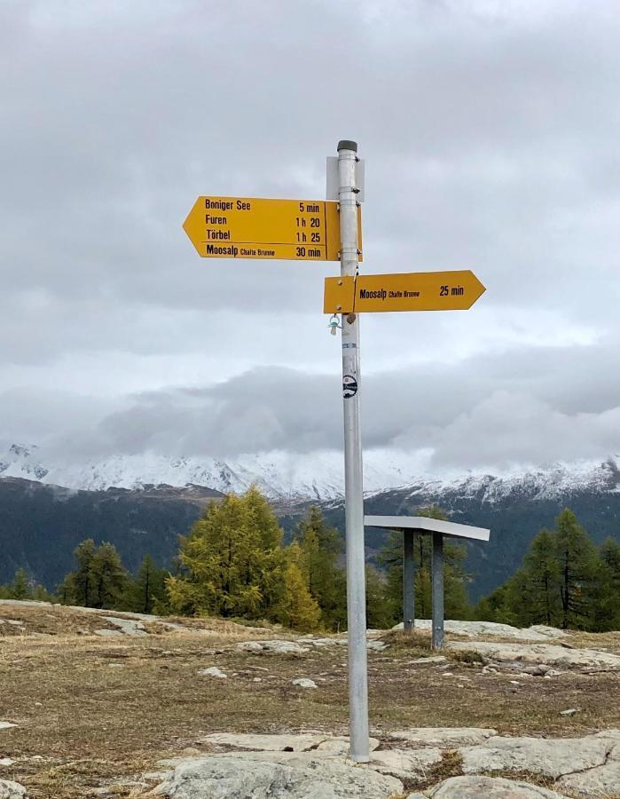 Zimmervermietung Ackersand Stalden Esterno foto